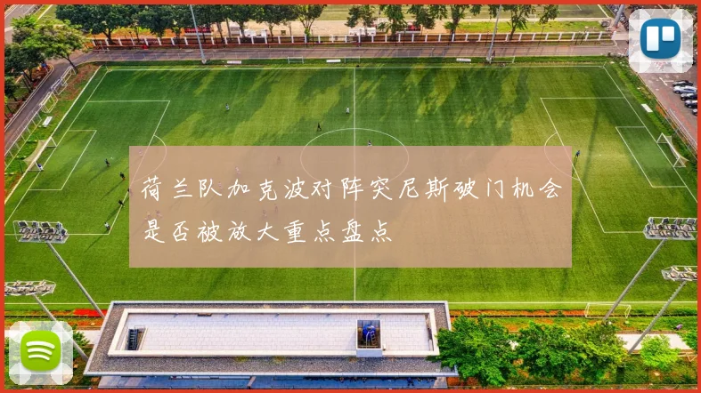 荷兰队加克波对阵突尼斯破门机会是否被放大重点盘点