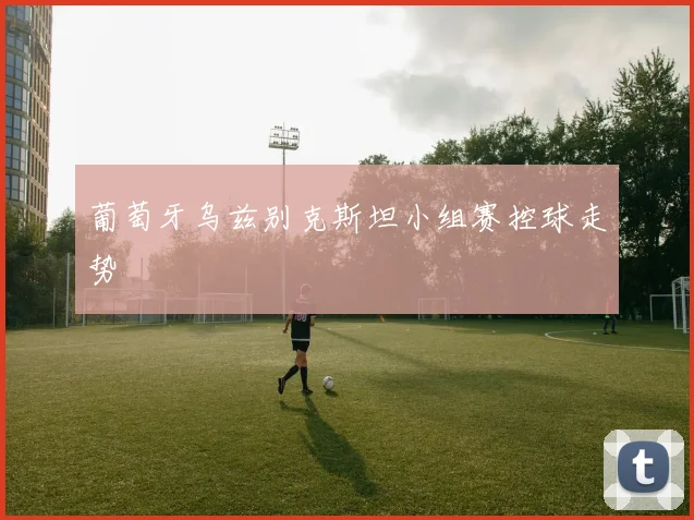 葡萄牙乌兹别克斯坦小组赛控球走势
