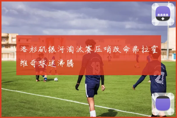 洛杉矶银河淘汰赛压哨改命弗拉霍维奇球迷沸腾