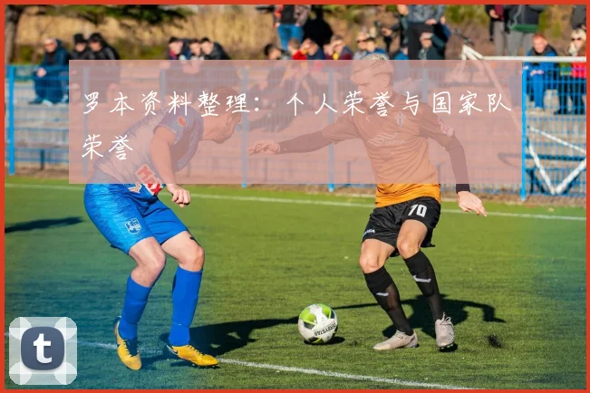 罗本资料整理：个人荣誉与国家队荣誉