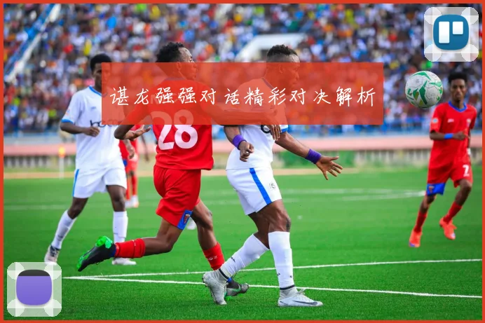谌龙强强对话精彩对决解析
